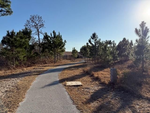 9208 WATER HAZARD DRIVE, Hudson, FL 34667