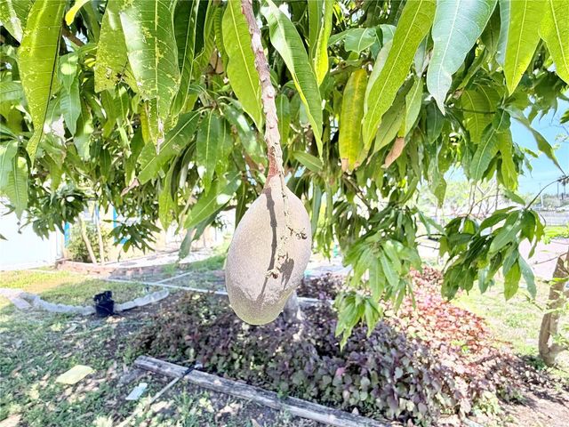 1150 OAKWOOD DRIVE, Dunedin, FL 34698