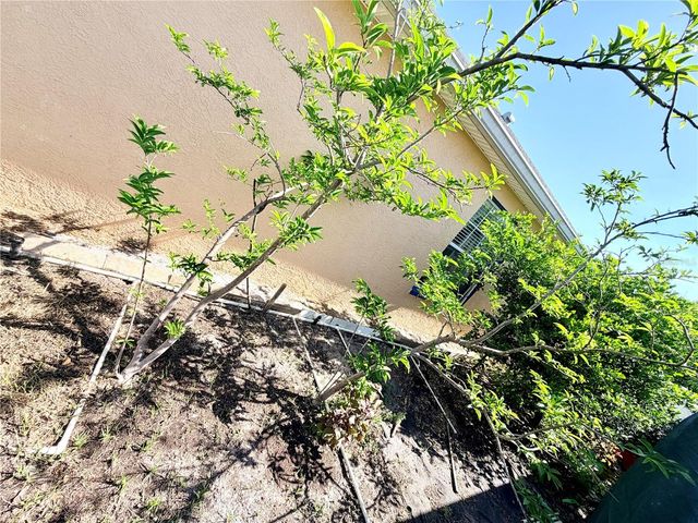 1150 OAKWOOD DRIVE, Dunedin, FL 34698