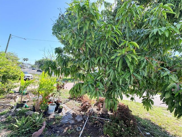 1150 OAKWOOD DRIVE, Dunedin, FL 34698