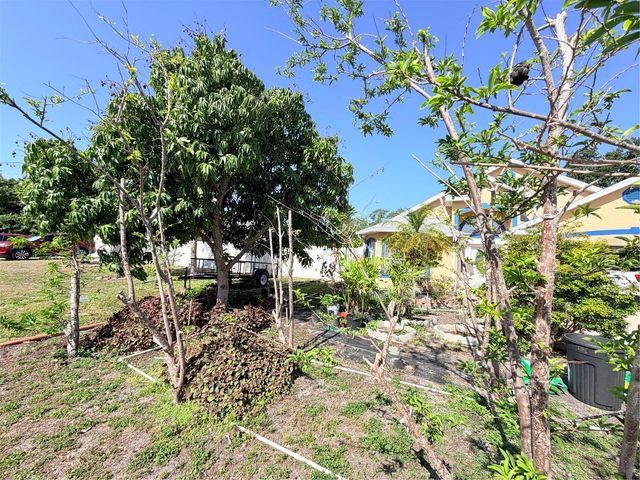 1150 OAKWOOD DRIVE, Dunedin, FL 34698