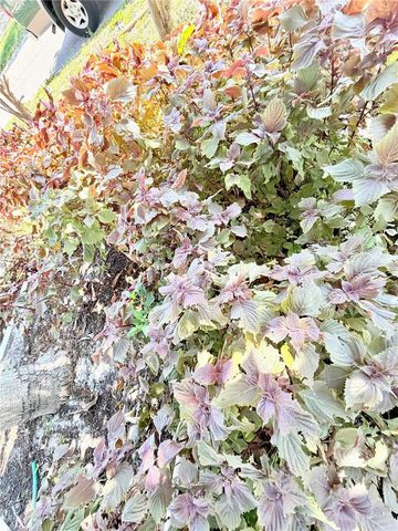 1150 OAKWOOD DRIVE, Dunedin, FL 34698