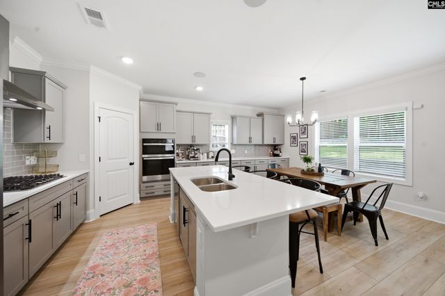 149 Collins Cove Drive, Chapin, SC 29036