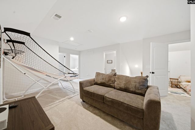 149 Collins Cove Drive, Chapin, SC 29036