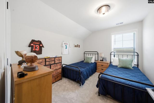 149 Collins Cove Drive, Chapin, SC 29036
