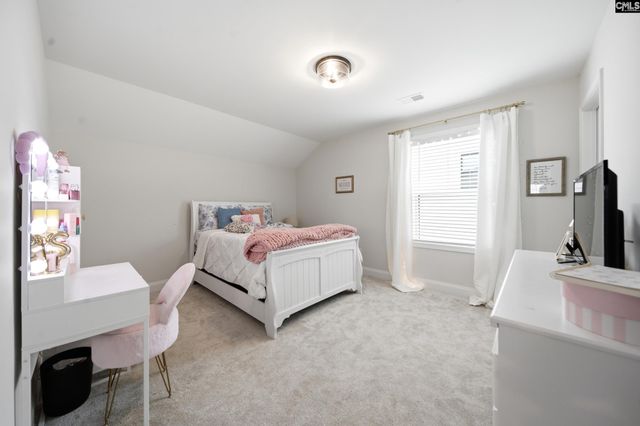 149 Collins Cove Drive, Chapin, SC 29036