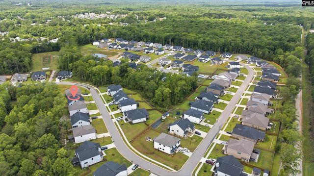 149 Collins Cove Drive, Chapin, SC 29036