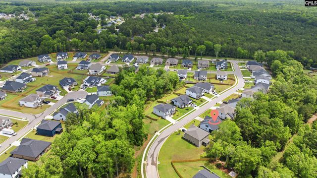 149 Collins Cove Drive, Chapin, SC 29036