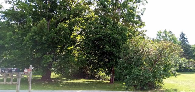 373 Congress Street, Morristown, VT 05661