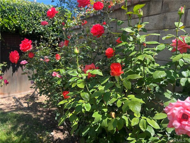 22932 Beech Creek, Valencia, CA 91354