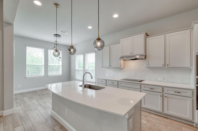 359 Raptor Beak WAY, Cedar Creek, TX 78612