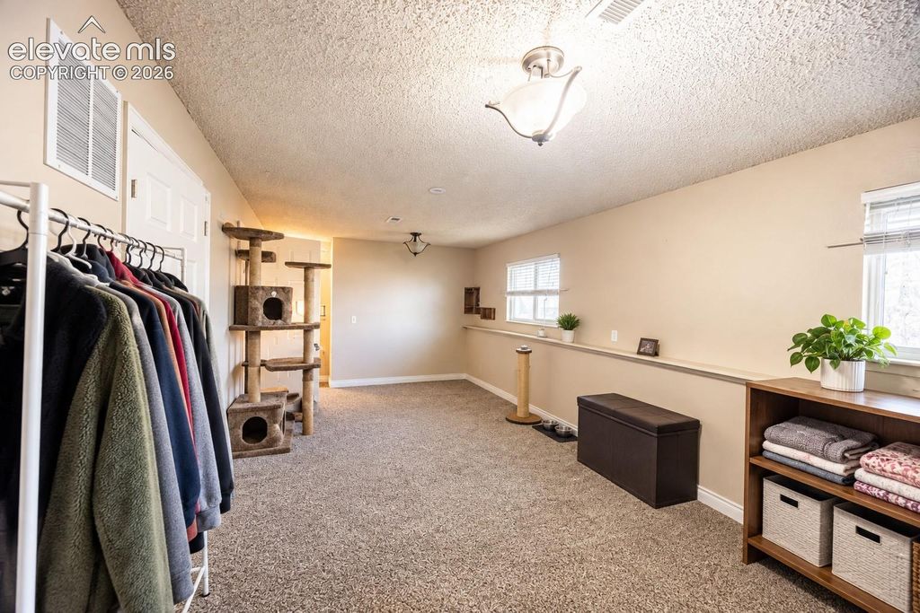 1287 Cree Drive, Colorado Springs, CO 80915 — photo 5