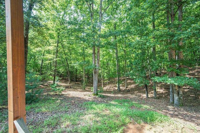 72 Gibbs Trail, Mineral Bluff, GA 30559