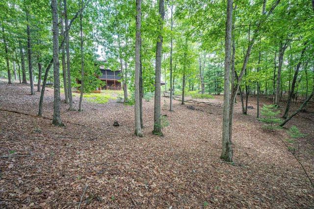 72 Gibbs Trail, Mineral Bluff, GA 30559