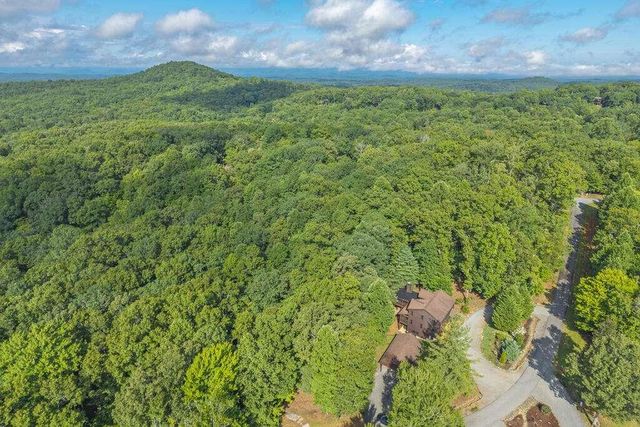 72 Gibbs Trail, Mineral Bluff, GA 30559
