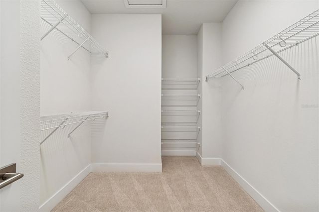 6605 N NEBRASKA AVENUE 19, Tampa, FL 33604