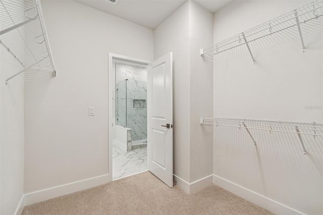 6605 N NEBRASKA AVENUE 19, Tampa, FL 33604