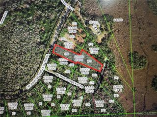 10043 W Holloway Path, Crystal River, FL 34429