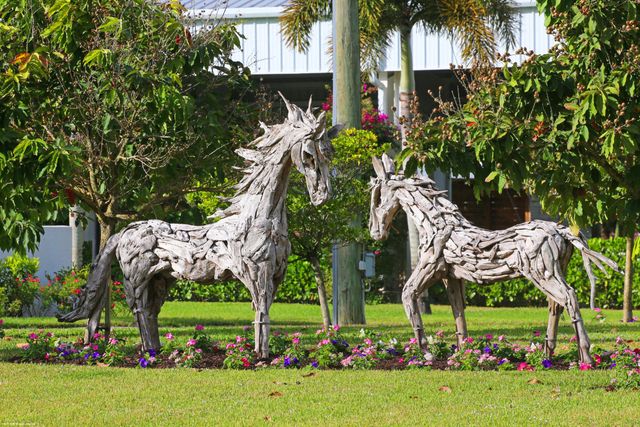 16155 Norris Road, Wellington, FL 33470