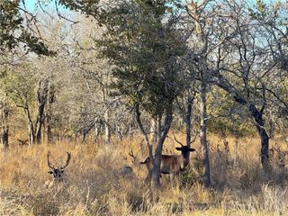 1782 FM 218 Road, Hamilton, TX 76531