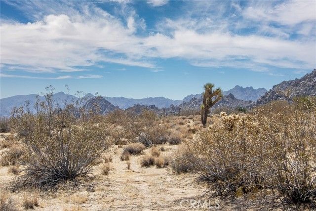 63317 Cottonwood Drive, Joshua Tree, CA 92252