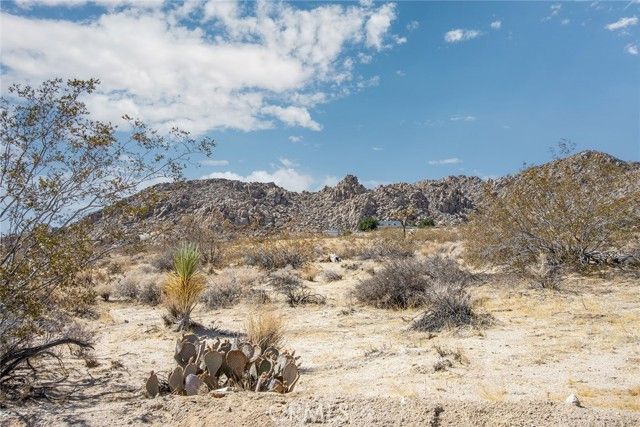 63317 Cottonwood Drive, Joshua Tree, CA 92252