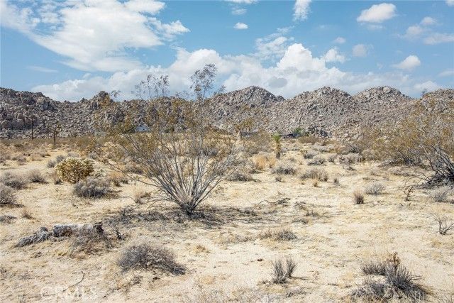 63317 Cottonwood Drive, Joshua Tree, CA 92252