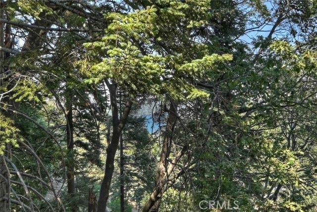 501 Wellsley Drive, Lake Arrowhead, CA 92352