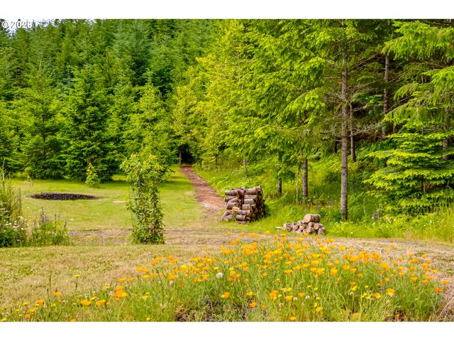38334 MCCAULEY RIDGE Dr, Springfield, OR 97478