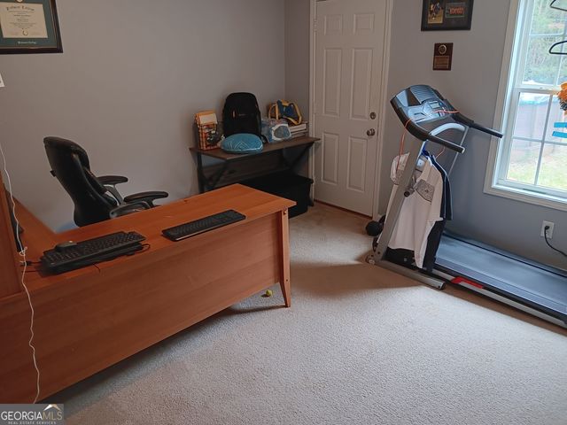 392 Ivy Hills Circle, Mount Airy, GA 30563