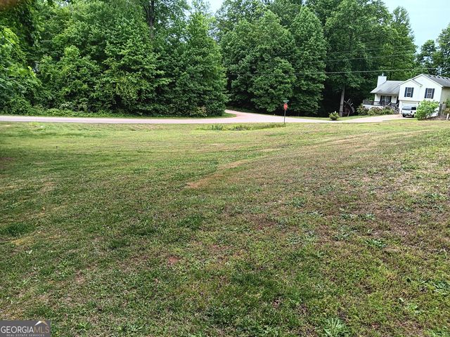 392 Ivy Hills Circle, Mount Airy, GA 30563
