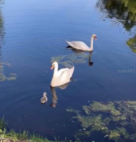 6073 WINDHOVER DRIVE C04, Orlando, FL 32819