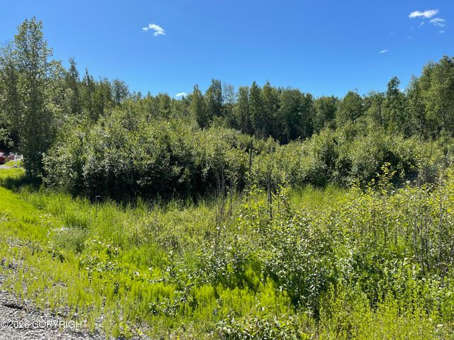 7301 W Indigo Drive, Wasilla, AK 99623