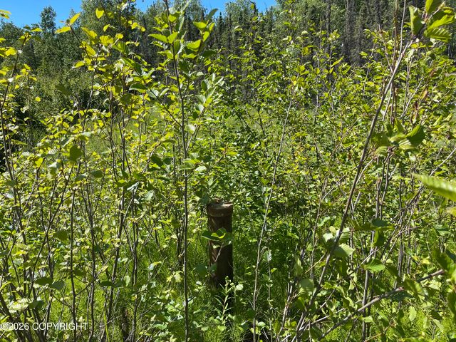 7301 W Indigo Drive, Wasilla, AK 99623