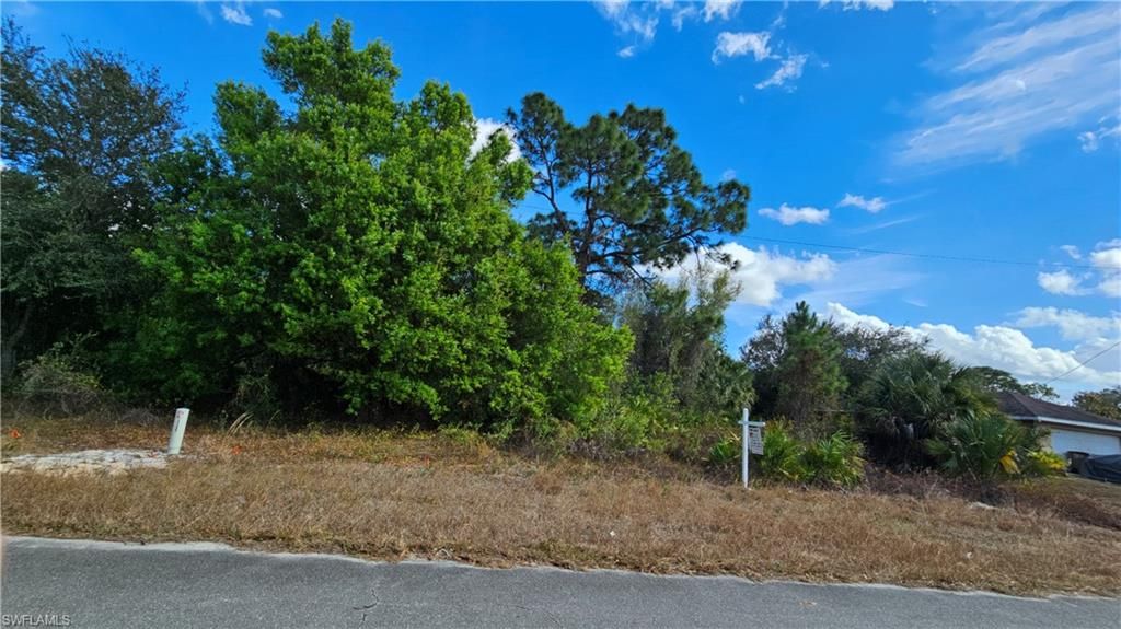 217 Narcissus AVE S, LEHIGH ACRES, FL 33974 — exterior