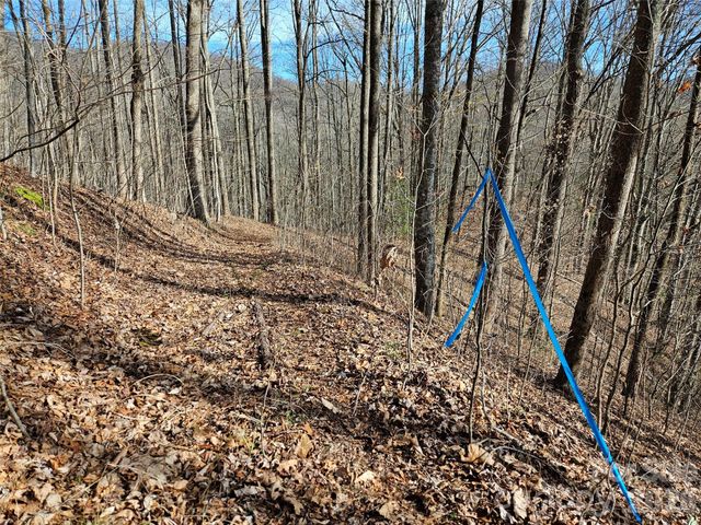 262 Si Knob Road, Cullowhee, NC 28723