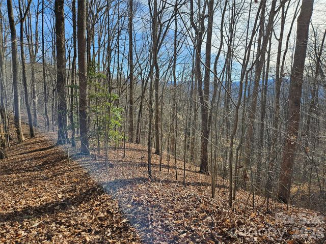 262 Si Knob Road, Cullowhee, NC 28723