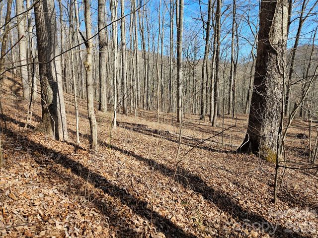 262 Si Knob Road, Cullowhee, NC 28723