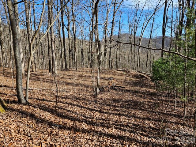 262 Si Knob Road, Cullowhee, NC 28723