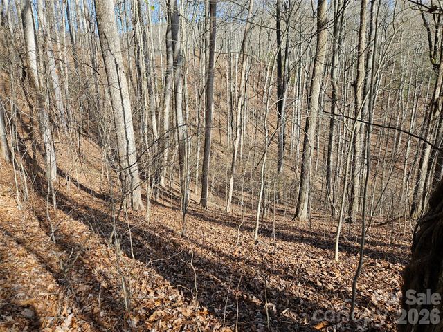 262 Si Knob Road, Cullowhee, NC 28723