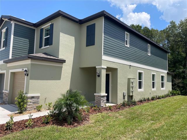 17565 NECTAR FLUME DRIVE, Land O Lakes, FL 34638
