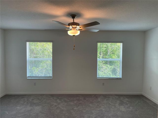 17565 NECTAR FLUME DRIVE, Land O Lakes, FL 34638