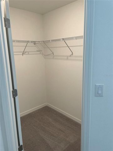 17565 NECTAR FLUME DRIVE, Land O Lakes, FL 34638