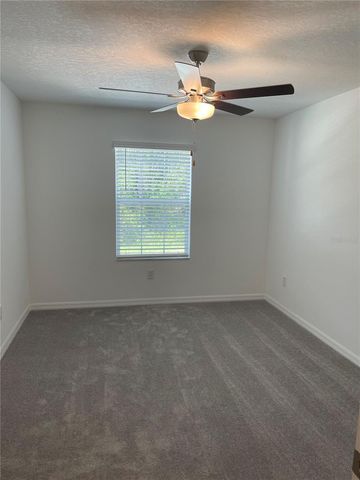 17565 NECTAR FLUME DRIVE, Land O Lakes, FL 34638