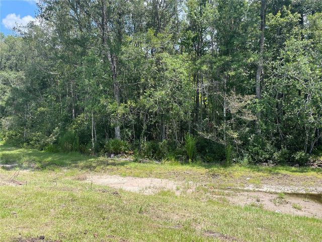 17565 NECTAR FLUME DRIVE, Land O Lakes, FL 34638