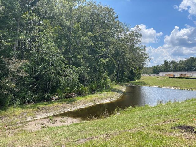 17565 NECTAR FLUME DRIVE, Land O Lakes, FL 34638