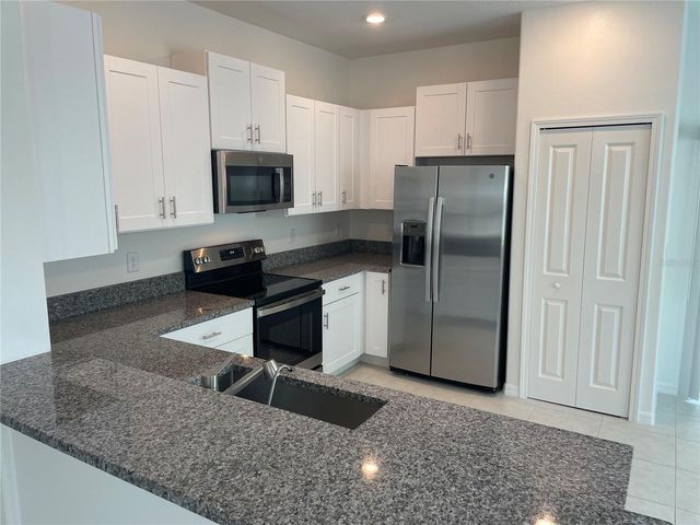 17565 NECTAR FLUME DRIVE, Land O Lakes, FL 34638