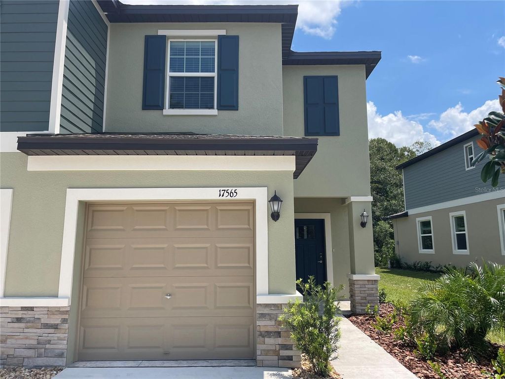 17565 NECTAR FLUME DRIVE, Land O Lakes, FL 34638