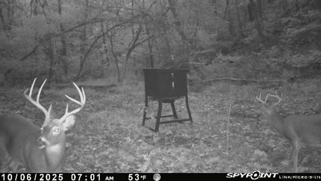 21910 Tall Timber Road, Springdale, AR 72764