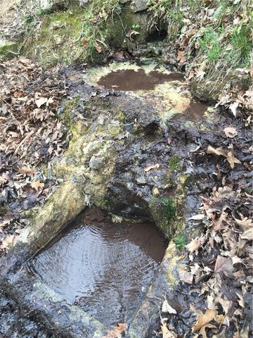 21910 Tall Timber Road, Springdale, AR 72764